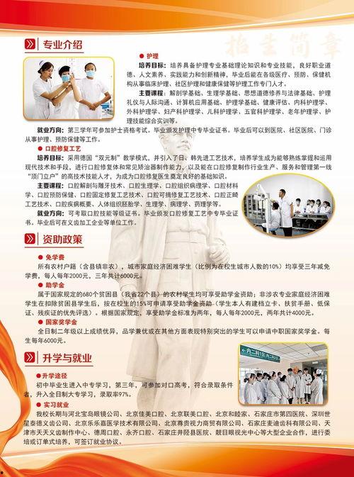 石家庄春天爆料最新消息,揭秘春日石家庄的惊喜与变化