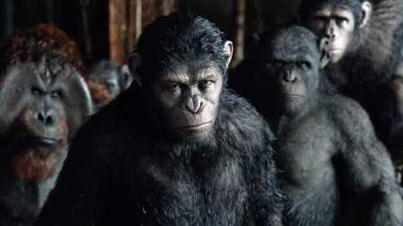 猿族崛起2在线观看,进化之战在线观影指南 第2张 猿族崛起2在线观看,进化之战在线观影指南 第2张