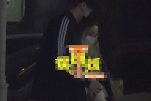 整治狗仔爆料视频大全,揭秘娱乐圈幕后真相  第3张